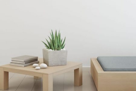 BO Immobilia - Testbild - WordPress Theme Immobilia