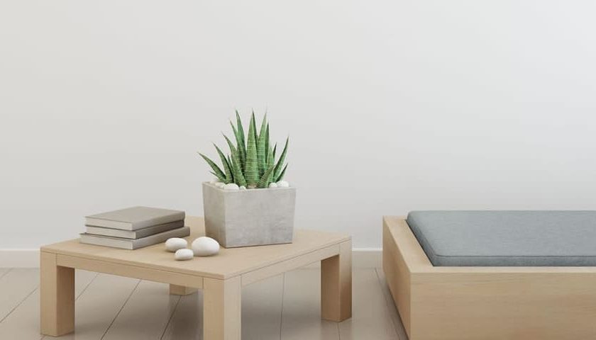 BO Immobilia - Testbild - WordPress Theme Immobilia